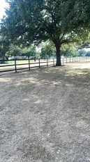 Cenflex Horse Fence