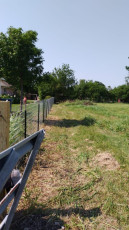 T-Post w/ Barbed Wire