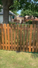 WhatsApp Image 2023-03-17 at 4.28.39 AM (1)